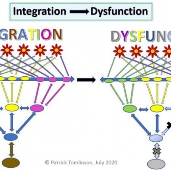 ORGANIZATIONAL INTEGRATION, DISINTEGRATION, AND RECOVERY - PATRICK TOMLINSON (2020)