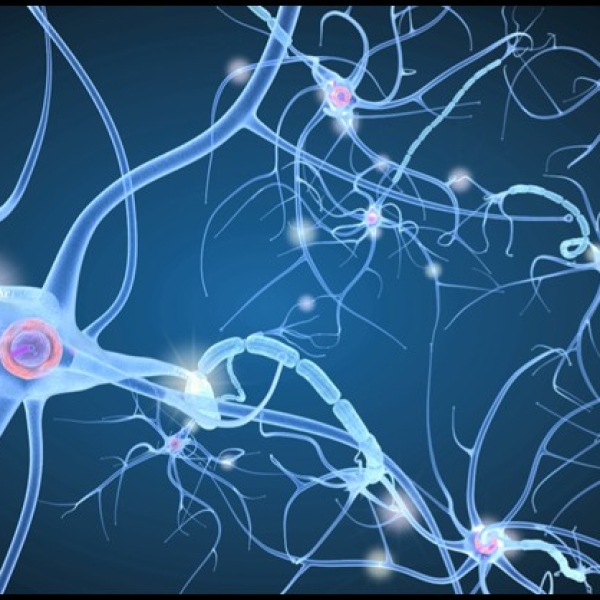 7 ARTICLES ON INTEGRATION: FROM NEURAL PATHWAYS TO SOCIAL SYSTEMS - PATRICK TOMLINSON (2015 - 2026)