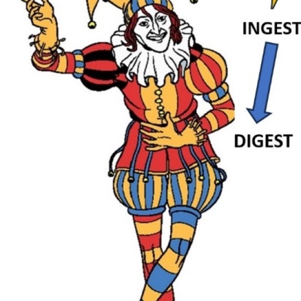 IN JEST &ndash; MAKING THE UNTHINKABLE DIGESTIBLE (PATRICK TOMLINSON, 2023)