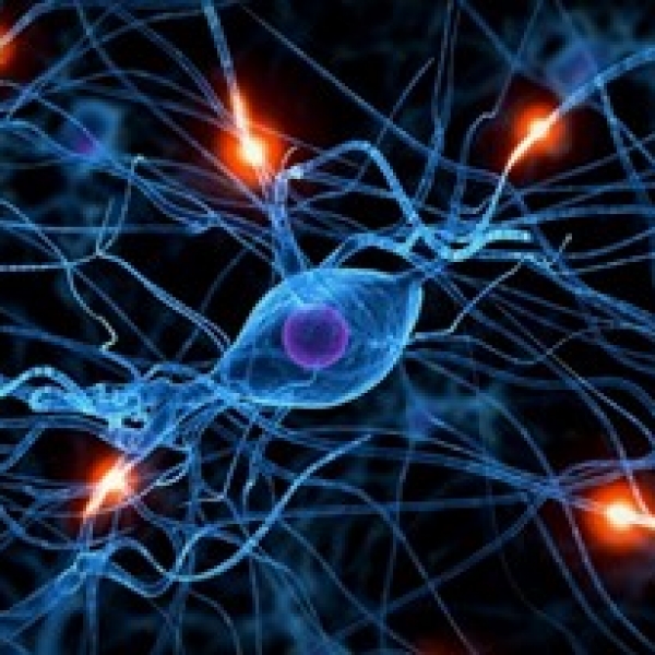 INTEGRATION AND CONNECTION IN WELL-BEING AND RECOVERY FROM TRAUMA &ndash; PATRICK TOMLINSON (2015) 